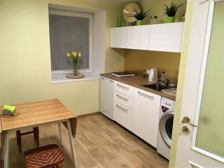 Excelent apartment with garden and free parking - Riga - 4