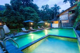Ani's Villas - Ubud - 3