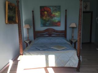 Chambre d'Hôte La Romaine - Vaison-la-Romaine - 5