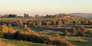 Ferienhäuser Immenhöfe - Donaueschingen - 8