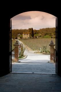 Castel Monastero - The Leading Hotels of the World - Castelnuovo Berardenga - 4