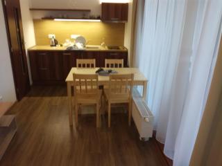 Apartmán B 101 Vysoké Tatry - Starý Smokovec - 4