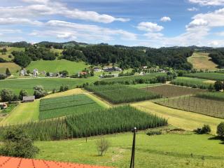 Hopfenhof - Leutschach - 1