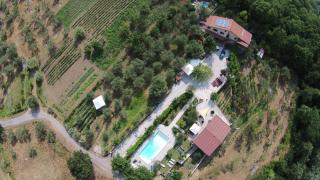 TENUTA MARTINO - Aquara - 0