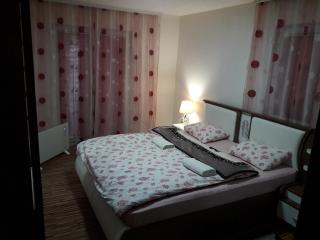 Vučeljić rooms - Andrijevica - 1