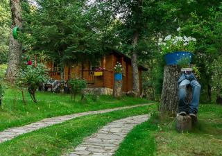 Cabañas de Madera Sanabria - Vigo de Sanabria - 4