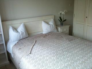 Hasdeu Apartament - 6