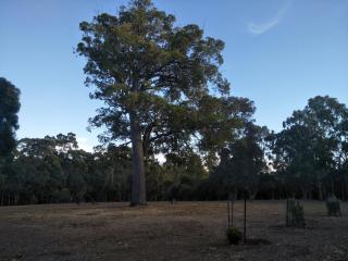 Margaret House - Margaret River - 9