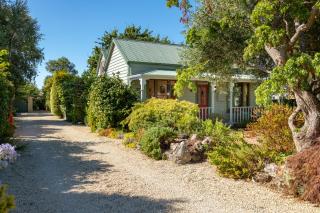Shy Cottage and Studio - Greytown - 4