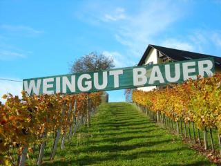 Ferienhaus Weingut Bauer - Gamlitz - 6