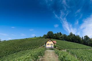 Ferienhaus Weingut Bauer - Gamlitz - 9