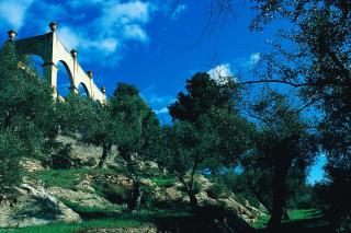 Bagni Di Pisa Palace & Thermal Spa - The Leading Hotels of the World - San Giuliano Terme - 2