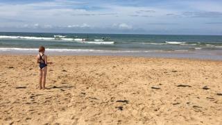 Ferienhaus Schulenburg - 8