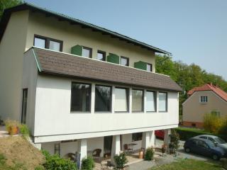 Haus Camelia - Bad Tatzmannsdorf - 9