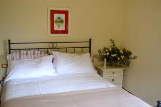 Monte A Pescia - Pescia - 7