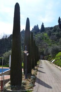 Monte A Pescia - Pescia - 3