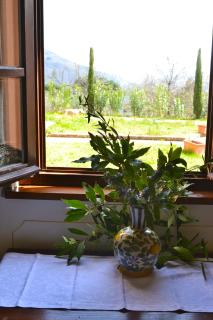 Monte A Pescia - Pescia - 9