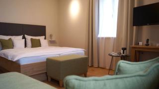 Boutique Hotel grüner Zweig - Schlettau - 5