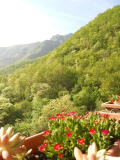 B&B Rossociliegia - 6