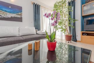 Romantic Oasis Apartments - Zadar - 8