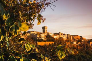Terrazza sull'infinito - Recanati - 8