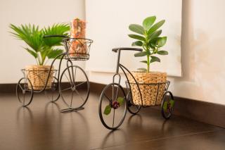 Heart of Bucharest Studio - Bukarest - 1