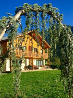 Les Chalets Fleurs de France - KOTA - Saint-Dalmas - 6