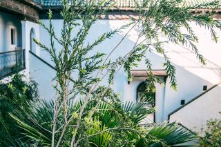 Riad Le Rihani - 5