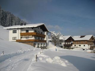 Bahlerhof - Luxner Annelies - Ried im Zillertal - 1