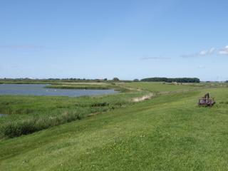De iisfugel - Gaast - 3