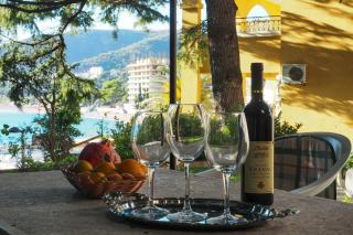 Kameliya Montesun Apartments - Budva - 8