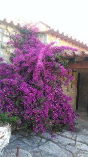 Casa de Chanca - 5