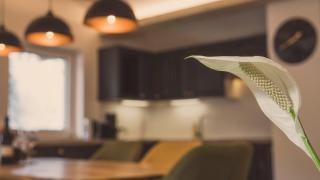 Apartment NinetyFour - Annaberg im Lammertal - 2