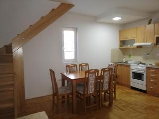 Apartments Kraljeva Dolina - Kopaonik - 1