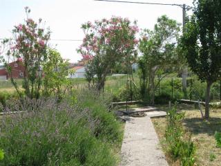 Apartment Palit 16356b - 5