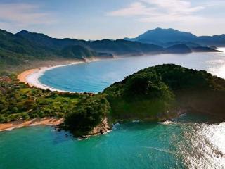 Jambeiro na praia - Trindade - 1
