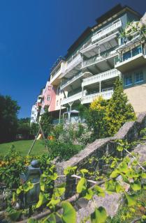 Brutsches Rebstock - Laufenburg - 4