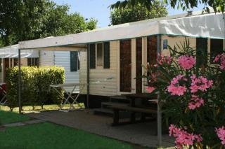 Camping Village Butterfly - 3