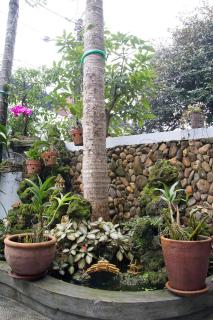 Kota's House Homestay - Hue - 6