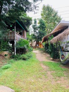 Pai Yard Guest House - 5