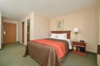 Comfort Inn Airport - 3