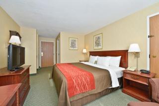Comfort Inn Airport - 2