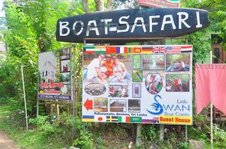 Little Swan Guest house - 9