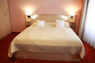 Pension Dvořák - 7