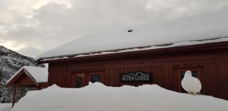 Alten Lodge - Alta - 6