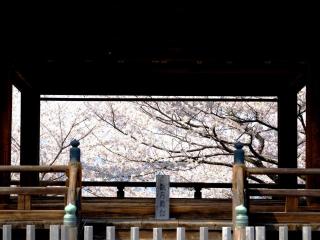 Temple-stay WAQOO Mii-dera - Otsu - 2