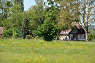 Les mouettes - la paix du bord de Seine - Berville-sur-Seine - 1
