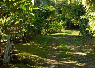 Amazonita Ecolodge - 5