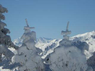 Appartement Schuller - 2