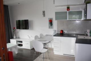 Apartament Sofii w Centrum - Zakopane - 4